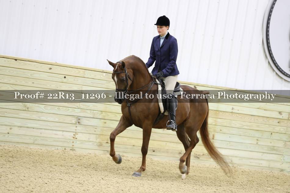Proof 22R13_11296