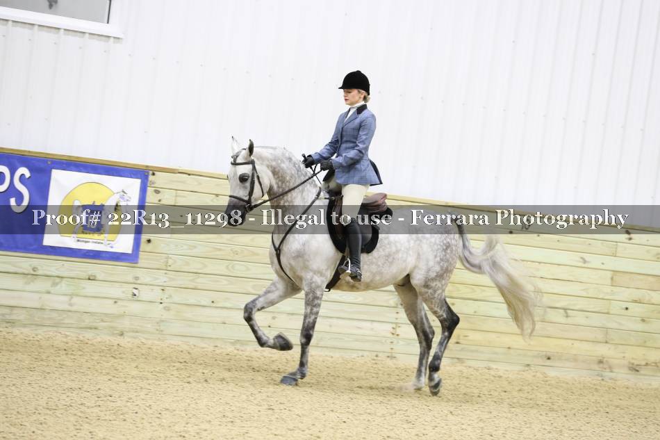 Proof 22R13_11298