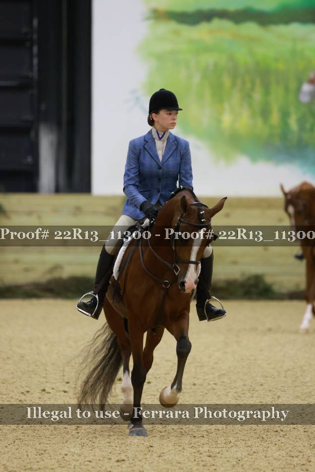 Proof 22R13_11300