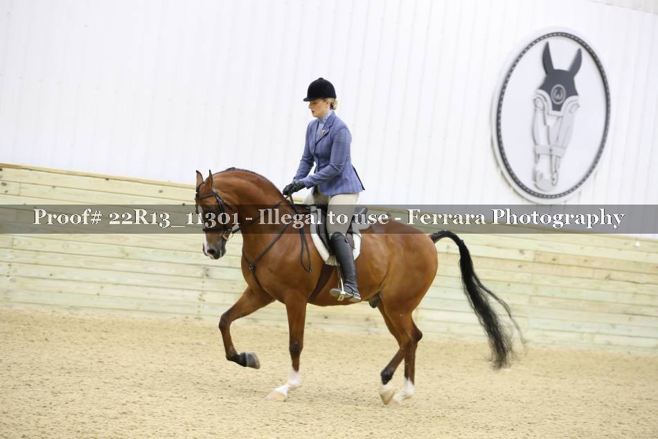 Proof 22R13_11301