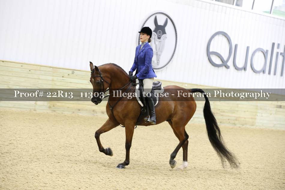 Proof 22R13_11303