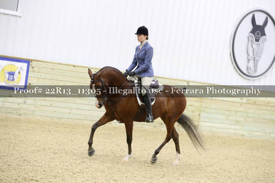 Proof 22R13_11305