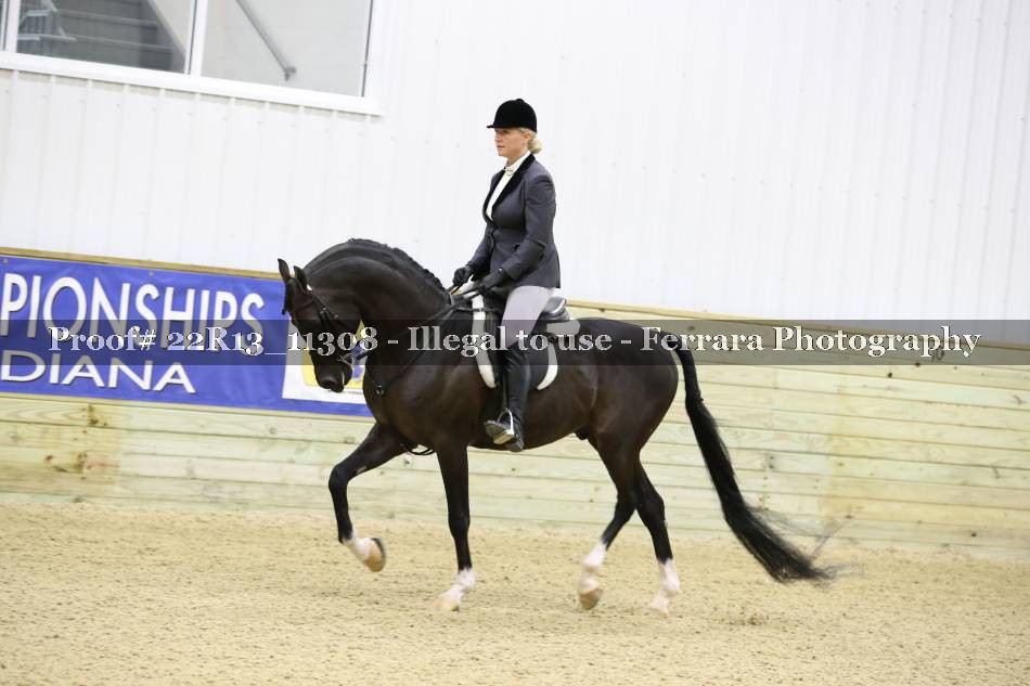 Proof 22R13_11308