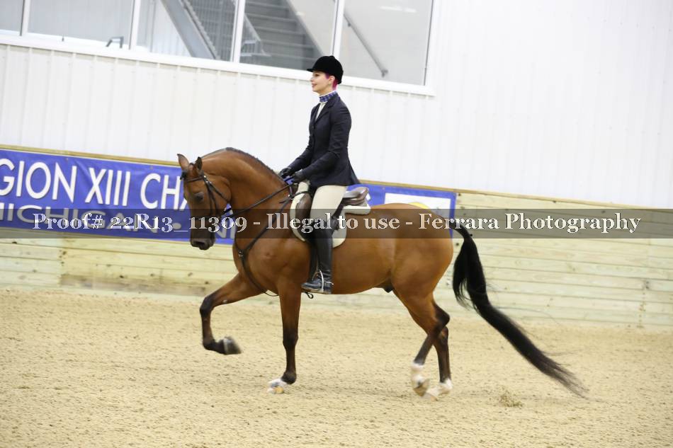 Proof 22R13_11309