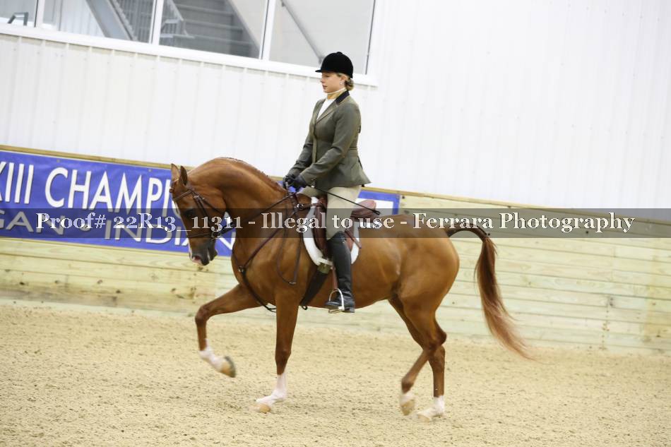 Proof 22R13_11311
