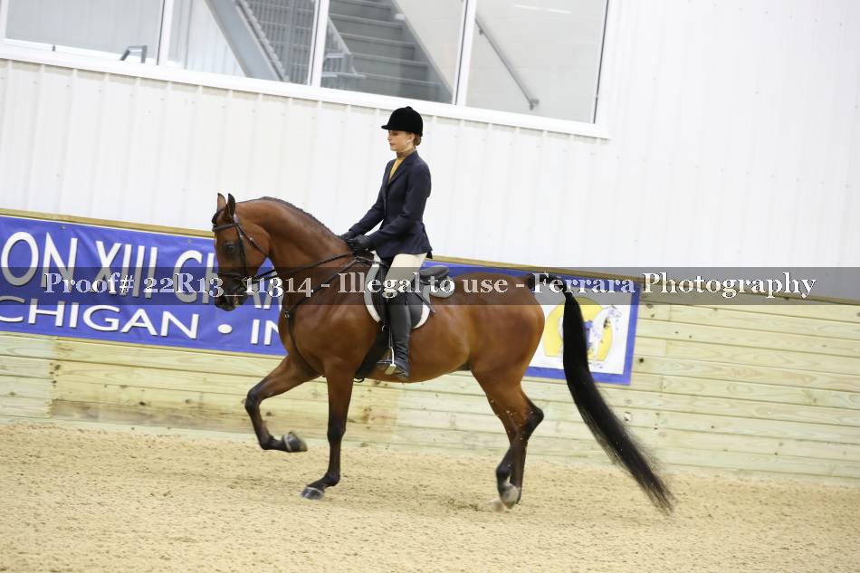 Proof 22R13_11314
