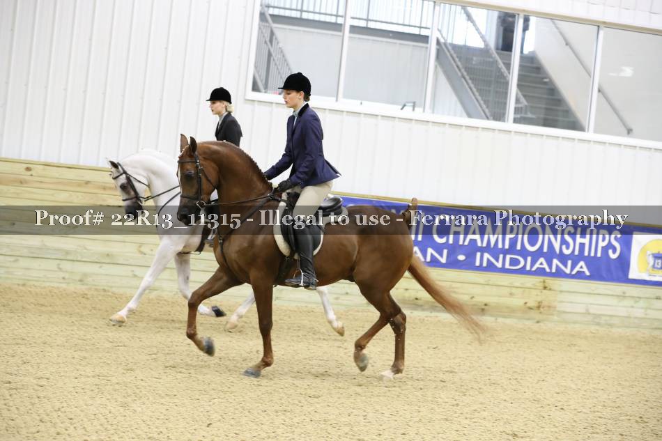 Proof 22R13_11315