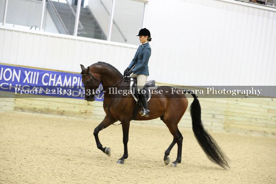 Proof 22R13_11316
