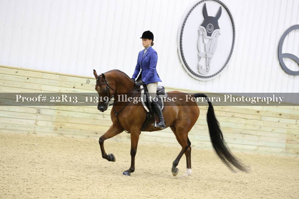 Proof 22R13_11319