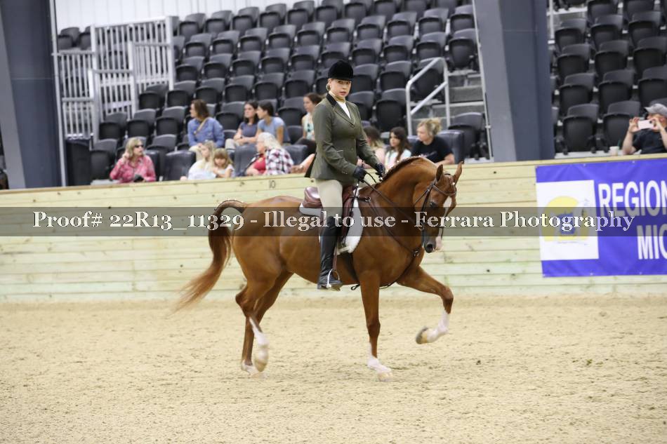 Proof 22R13_11329