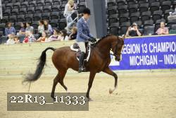 22R13_11333 proof