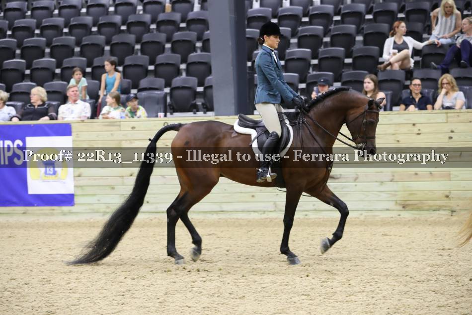 Proof 22R13_11339