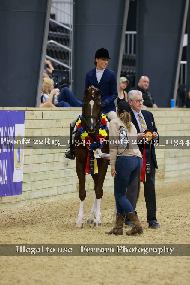 Proof 22R13_11344