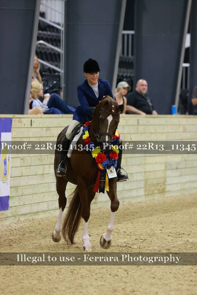 Proof 22R13_11345