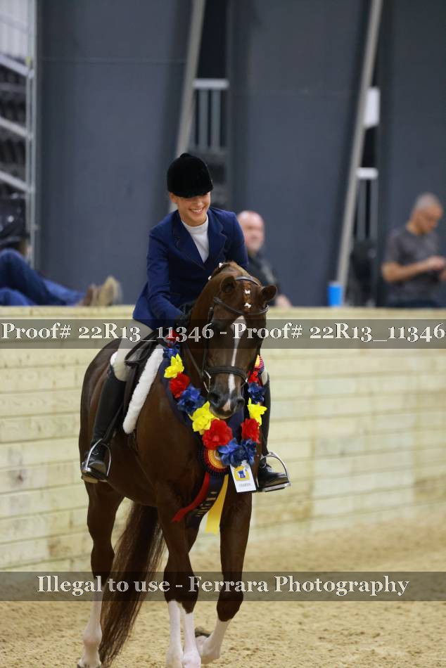 Proof 22R13_11346