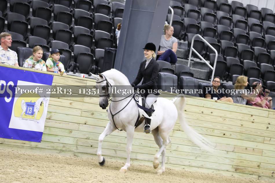 Proof 22R13_11351