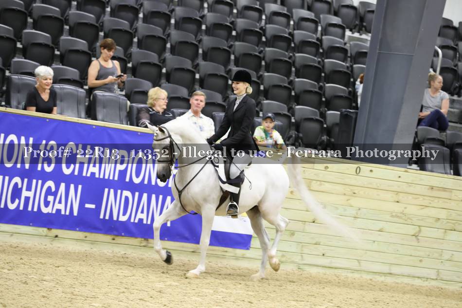 Proof 22R13_11352