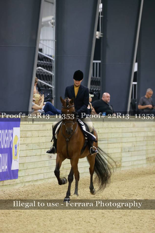Proof 22R13_11353