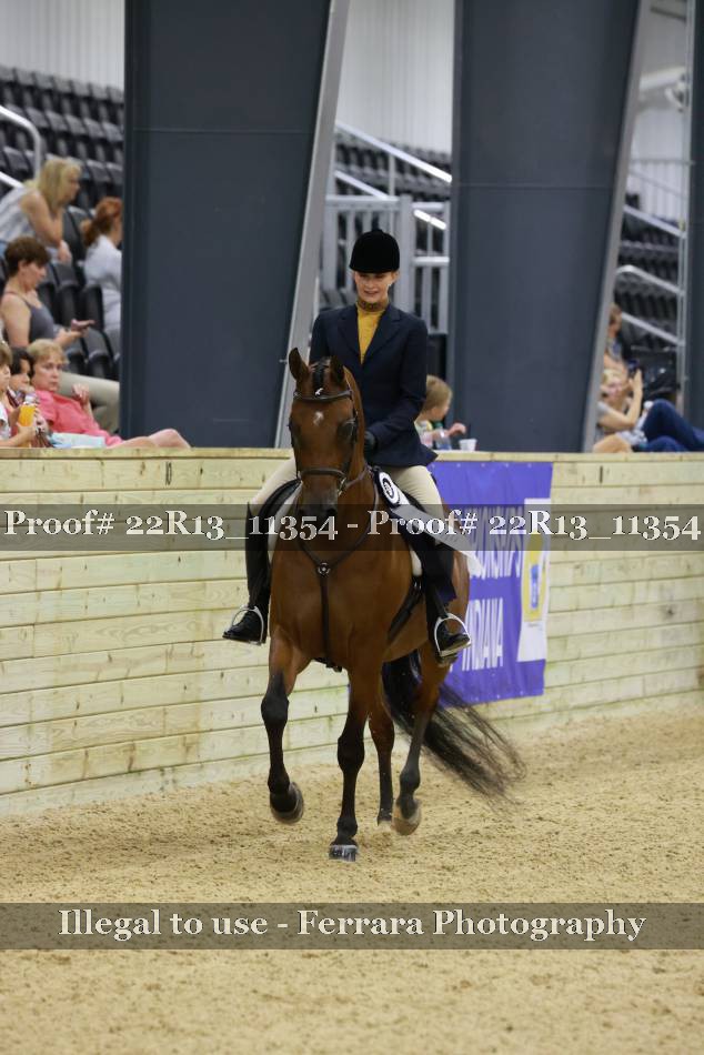 Proof 22R13_11354