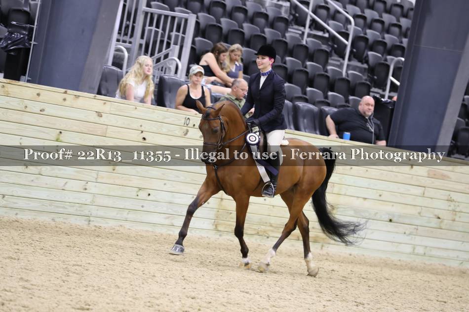 Proof 22R13_11355