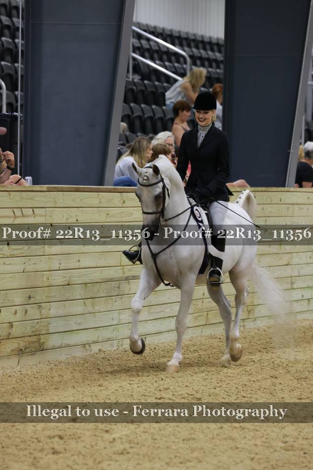 Proof 22R13_11356