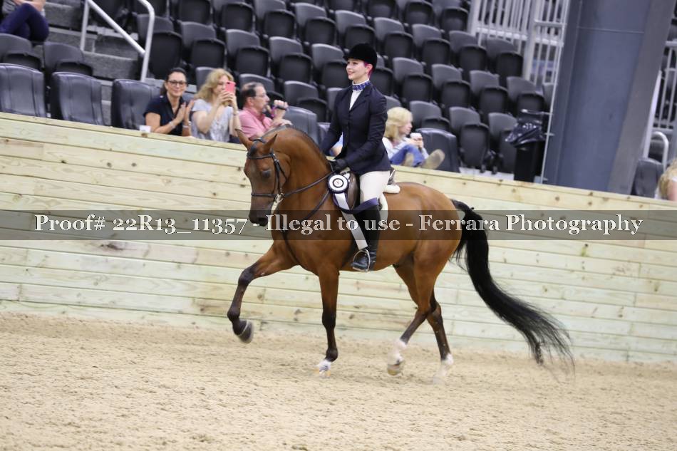 Proof 22R13_11357