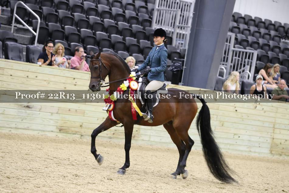 Proof 22R13_11361