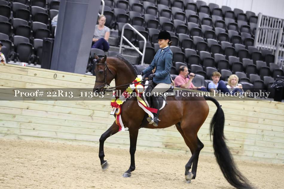 Proof 22R13_11363