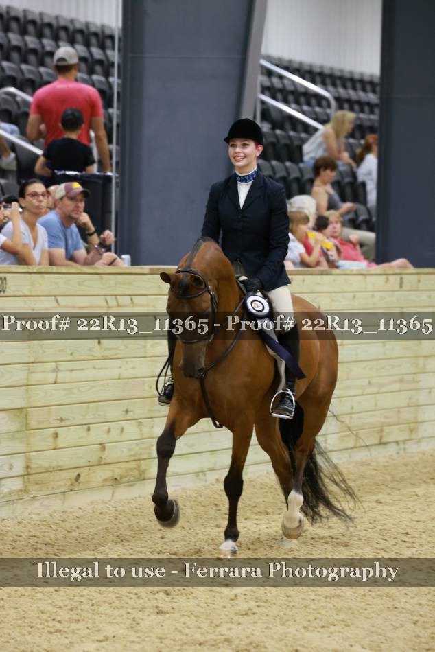 Proof 22R13_11365
