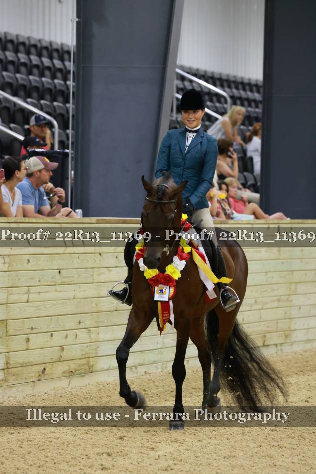 Proof 22R13_11369