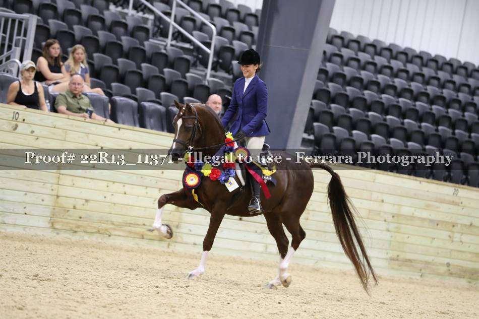Proof 22R13_11371