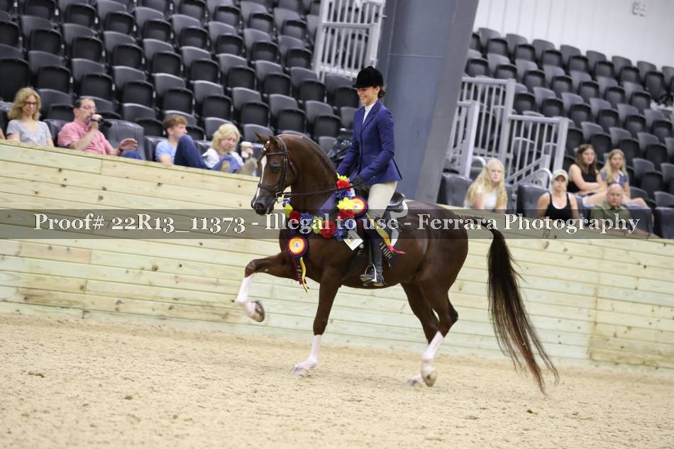 Proof 22R13_11373