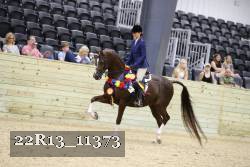 22R13_11373 proof