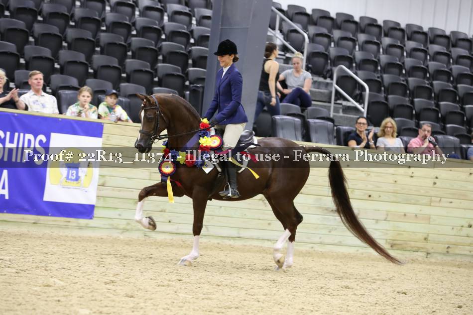Proof 22R13_11374