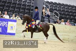 22R13_11374 proof