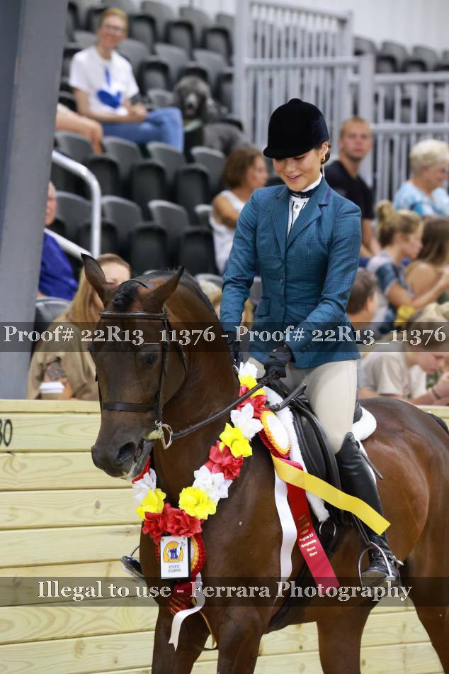 Proof 22R13_11376