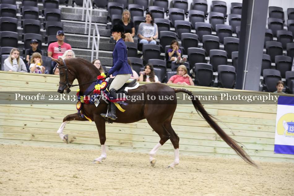 Proof 22R13_11378
