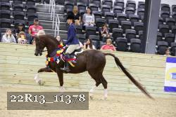 22R13_11378 proof