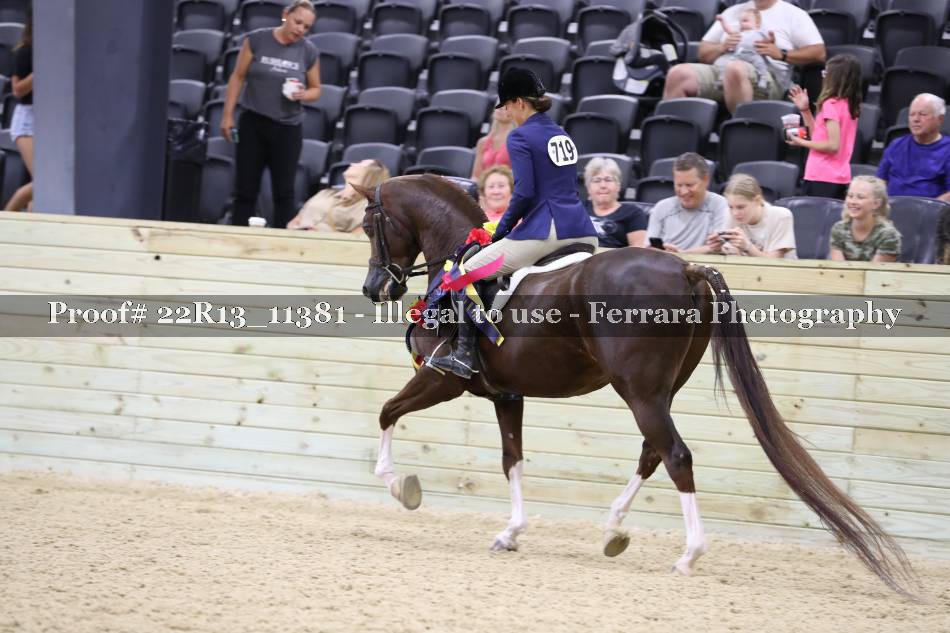 Proof 22R13_11381