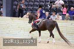 22R13_11381 proof