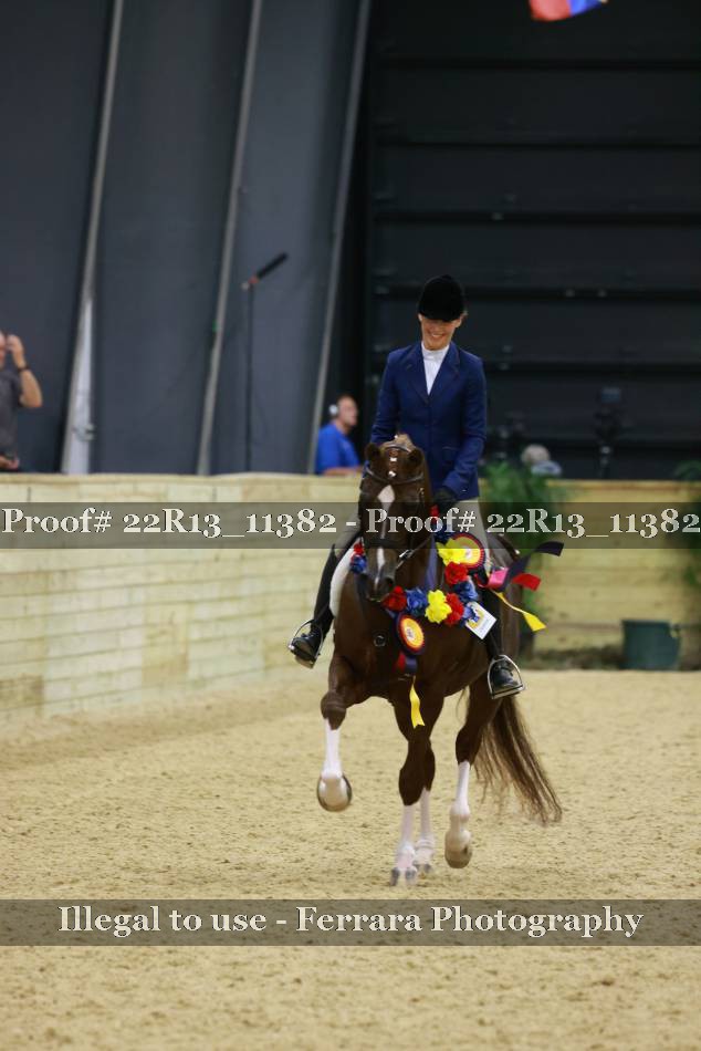 Proof 22R13_11382