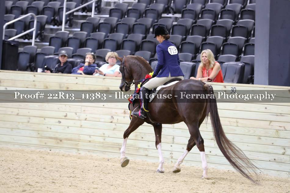 Proof 22R13_11383