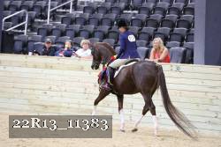 22R13_11383 proof