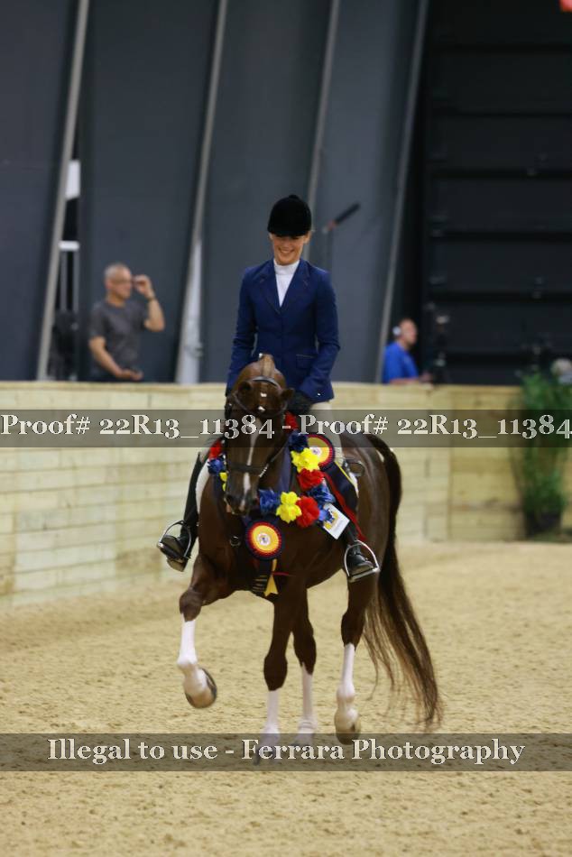 Proof 22R13_11384
