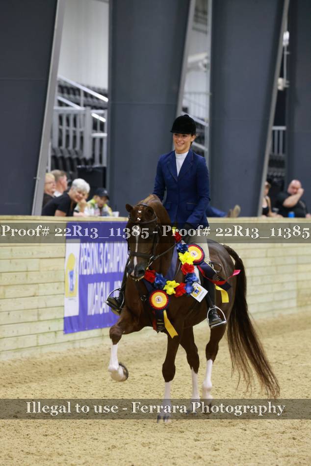 Proof 22R13_11385