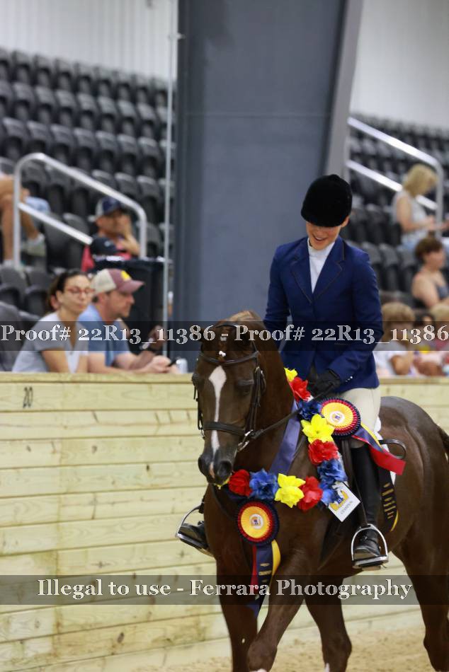 Proof 22R13_11386