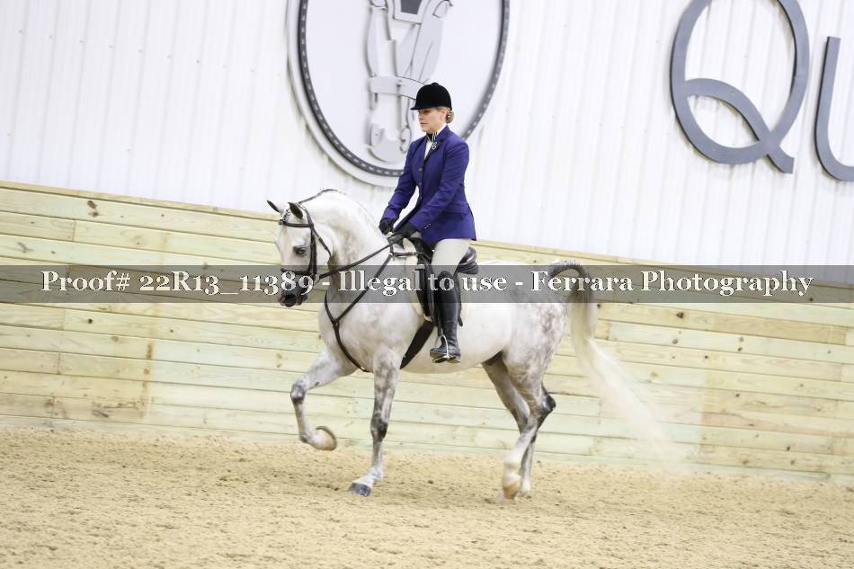 Proof 22R13_11389