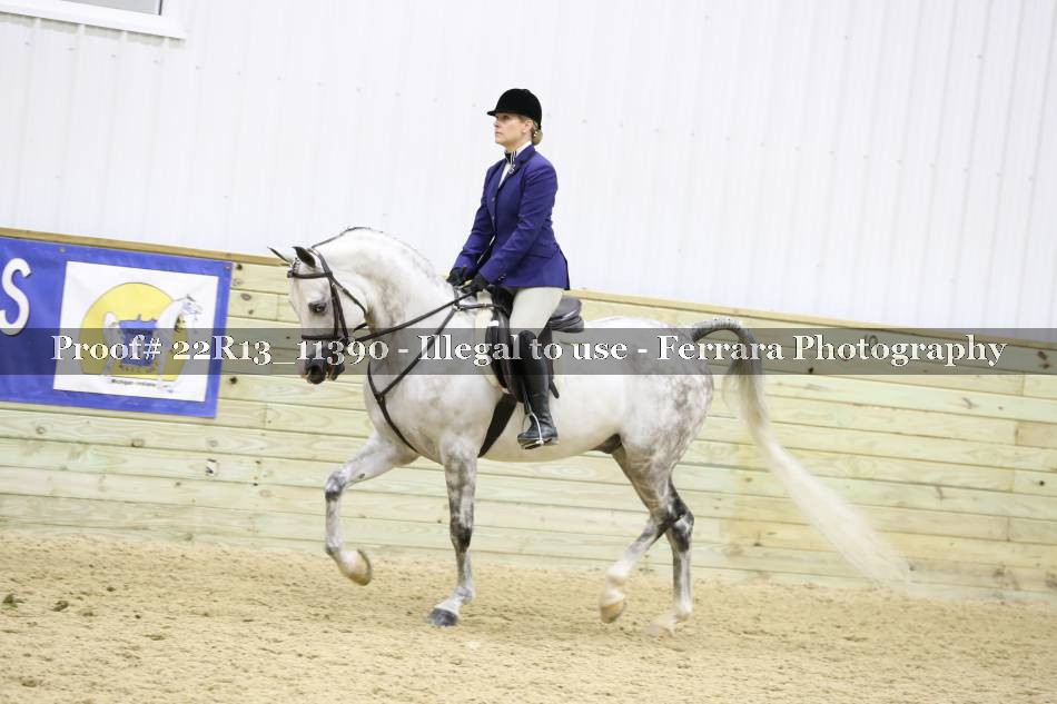 Proof 22R13_11390