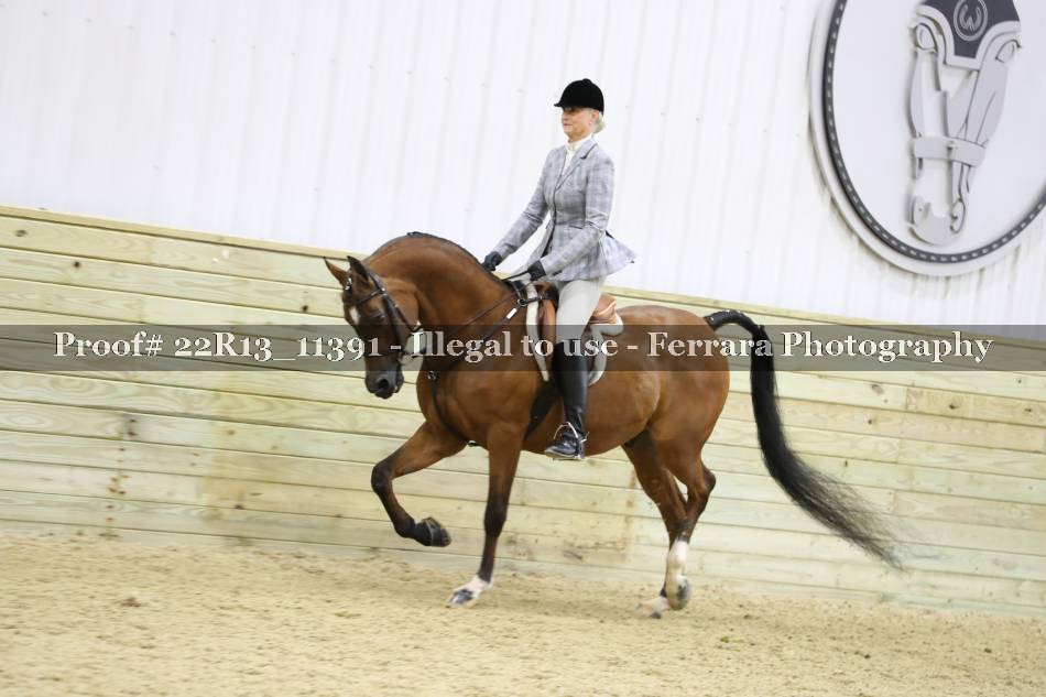 Proof 22R13_11391