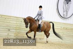 22R13_11391 proof